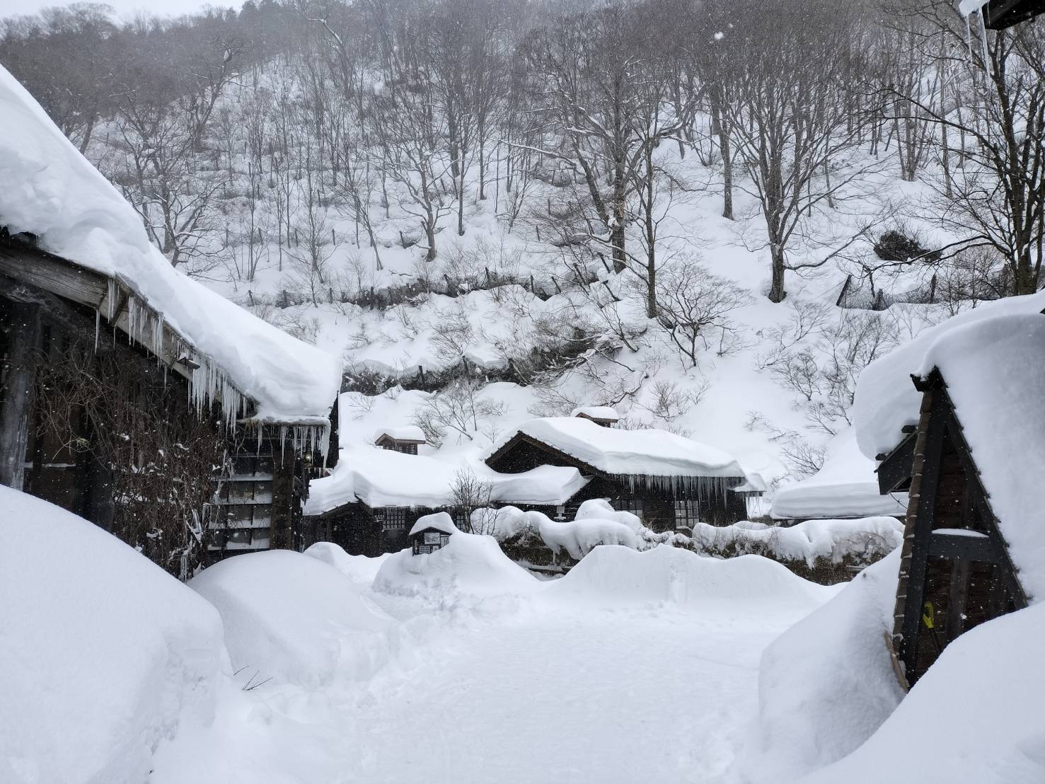 【秋田 to 東京】オンラインで得られたリアルな成長、結果を出すための泥臭さ 。ツクチムインターン体験記