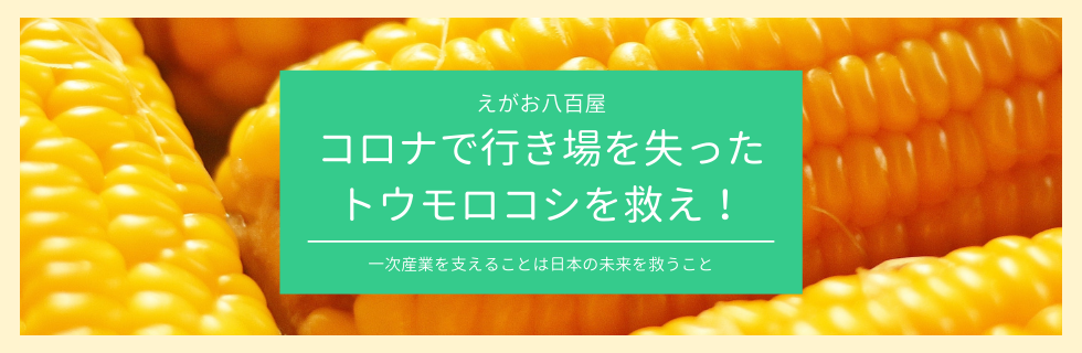 コロナで行き場を失ったトウモロコシを救え作戦中！