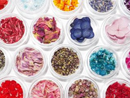 生のお花を独自の技術で染色・加工してオリジナル商品が完成します。本物のお花を使い、絶妙な風合いに仕上げることで、「大人可愛い」多数のヒット商品を生み出しています。