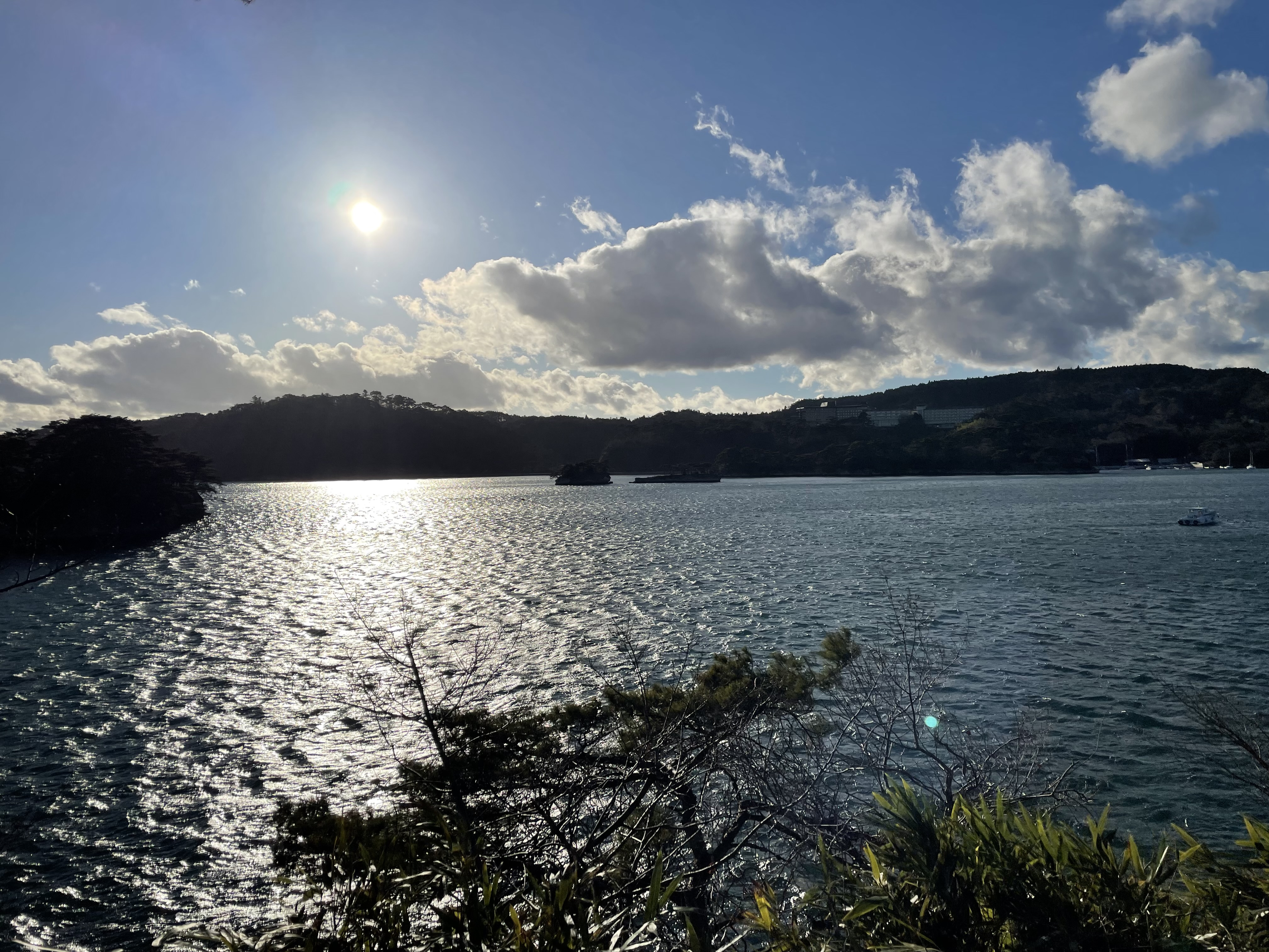 【🎍あけましておめでとうございます🎍】