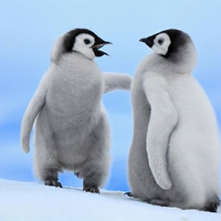 笠井 悠花さんのプロフィール