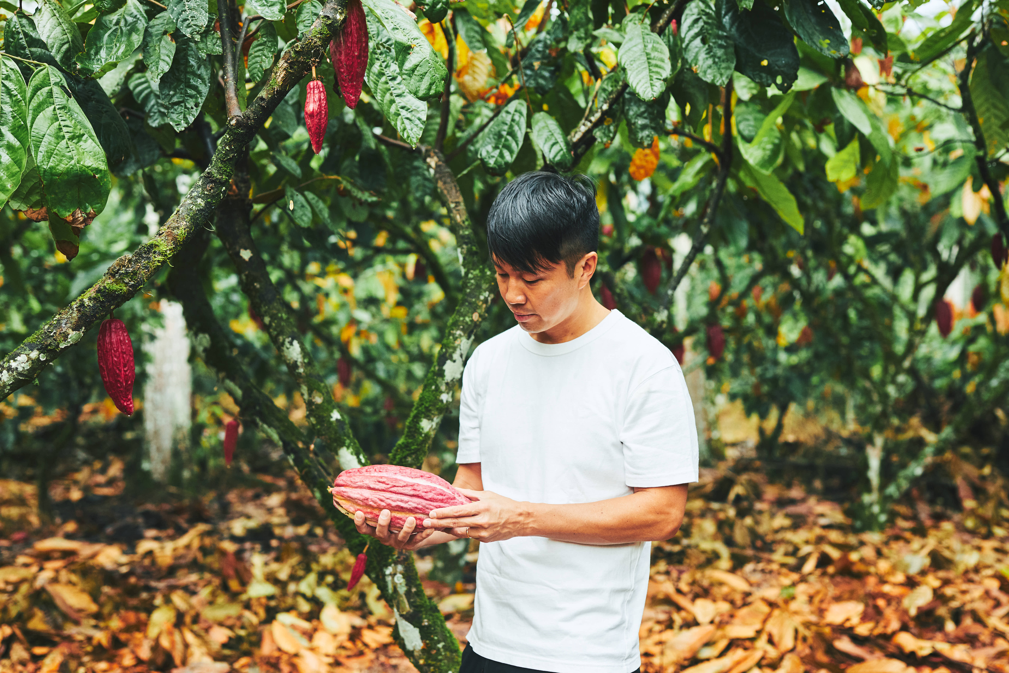 MAISON CACAOが大切にする「Farm to Customer」とは？