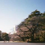rei watanabe