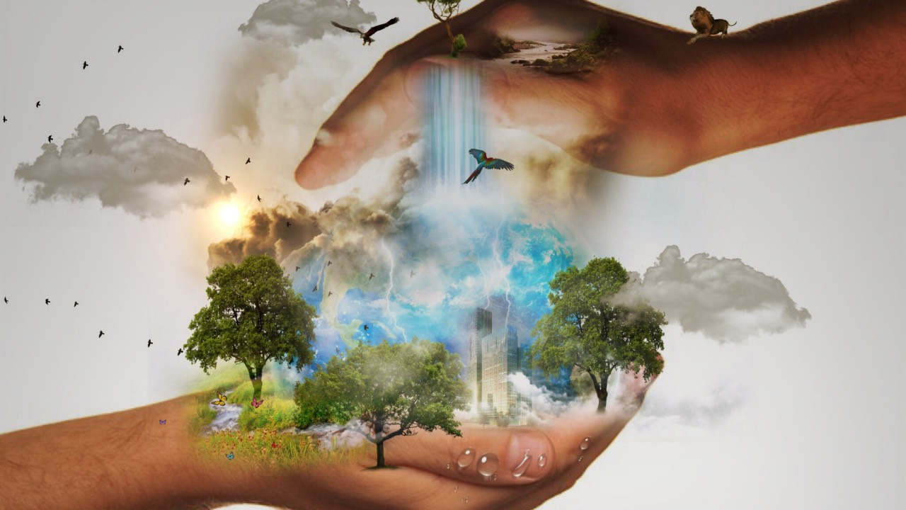 【自習ノートインタビュー04】海外事業新規OPEN～更なる進化へのステップ～