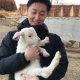 さ く