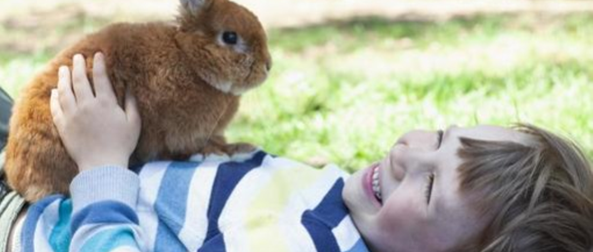 ITの道に進みたいけど自信が無い方ぜひ、一度お話しませんか？