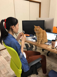 休憩もしっかりとります