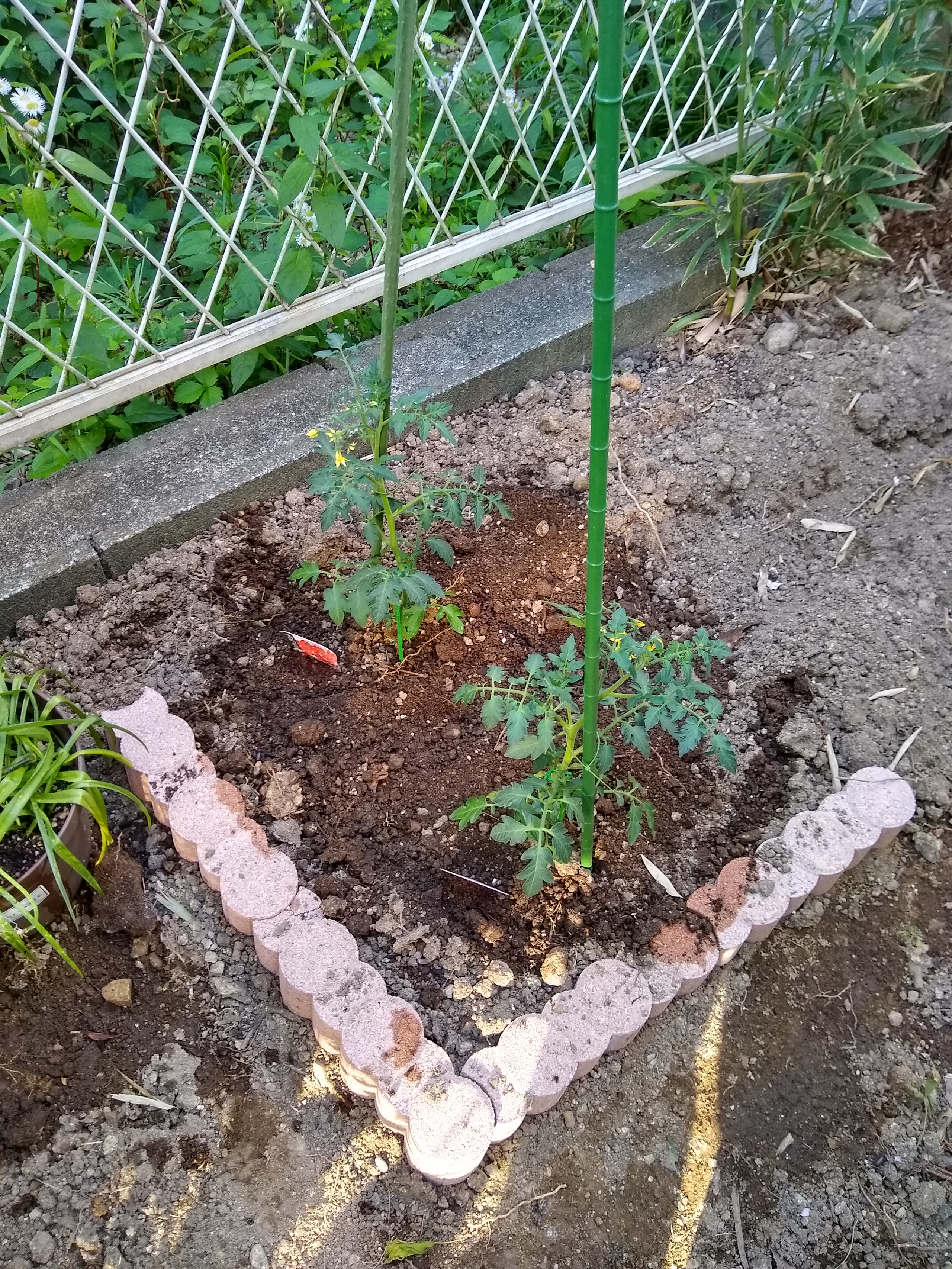 日常の中から、ビジネスにつながることを見つける。