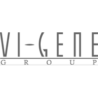 VIホールディング株式会社の会社情報