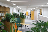 社内には温もりを。木材やグリーンも多いです。