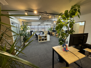 メインのオフィスフロアには観葉植物たちが元気に育っています。観葉植物が元気なのはオフィスに活気がある証拠！疲れにくいオフィスチェアや広々デスク。疲労軽減効果もある照明、空が見えるオフィス。癒しの観葉植物。