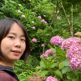 藤田 紗季