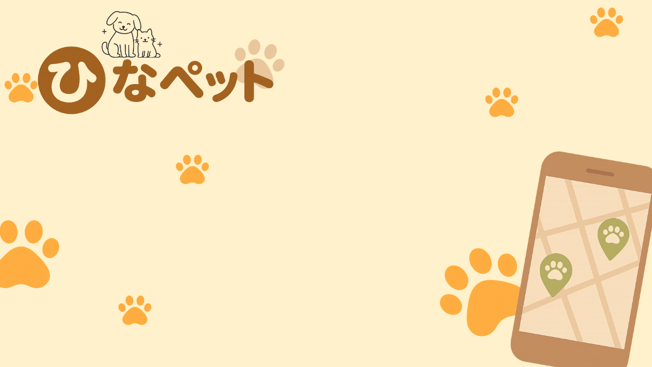 コーディングブートキャンプ修了