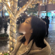 採用 担当