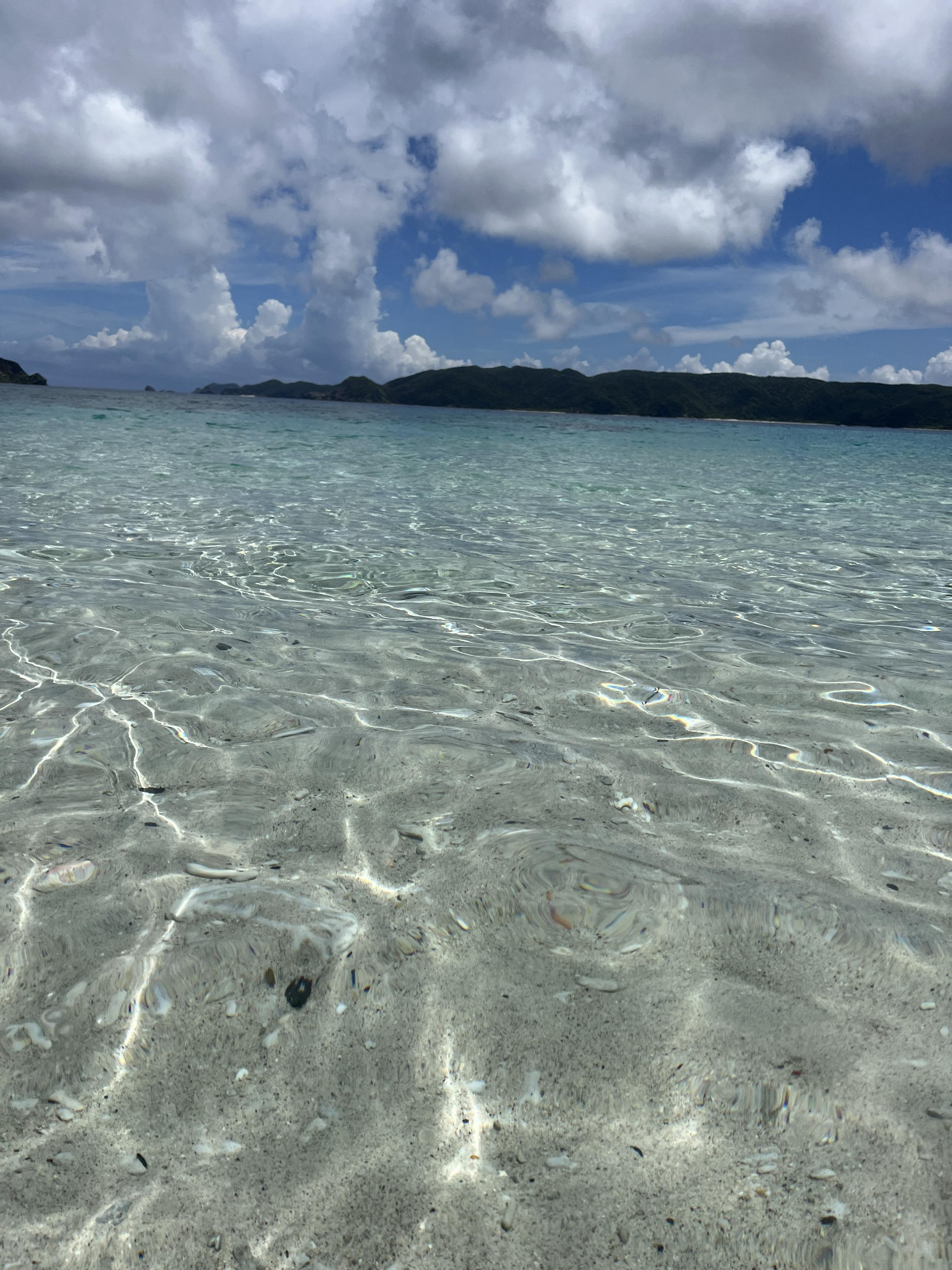 Weathering the Storm 凪を求めて