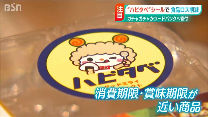 【2023/6/1】BSN新潟放送さまに活動を取り上げていただきました📺