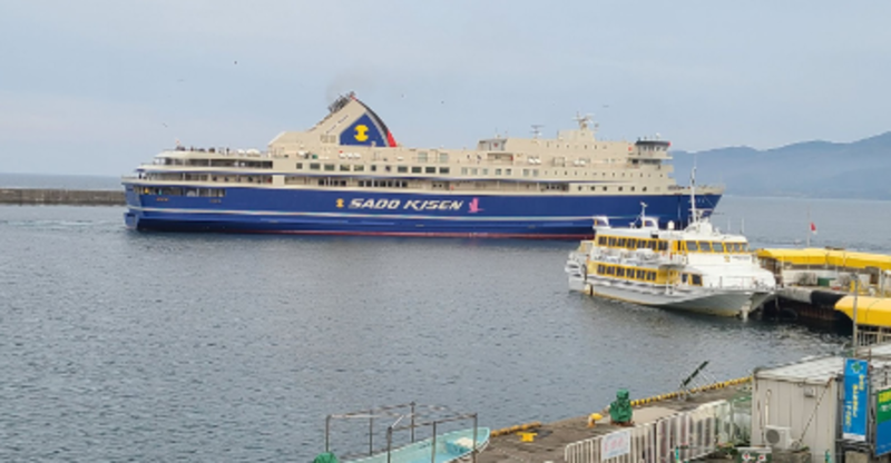 医療過疎地域の離島の薬局を経営してみて気が付いた100個のこと
