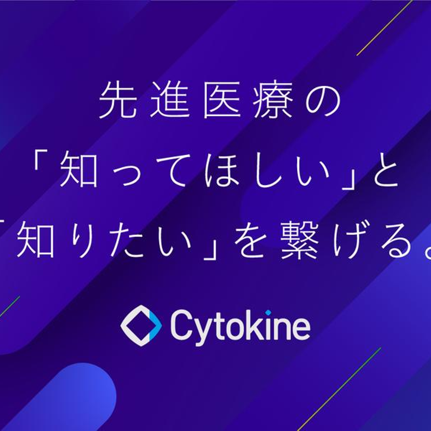 サイトカイン株式会社の会社情報 Wantedly