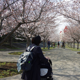 Maiko Oshida