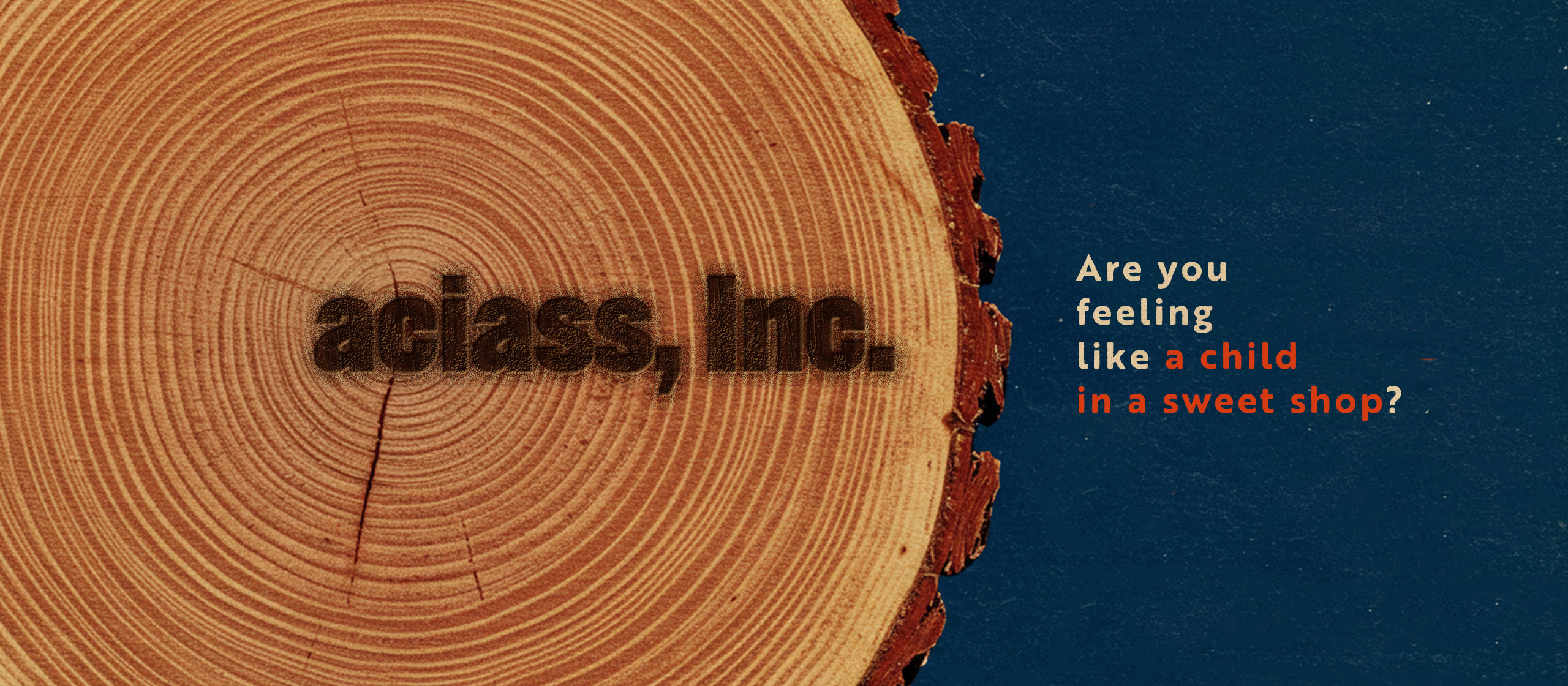 2期目の折り返しに考える、“文化が続く会社”の条件