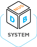 NUS Database System Research Group
