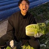 kento yano