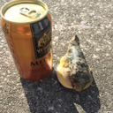 井垣 拓哉