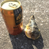 井垣 拓哉
