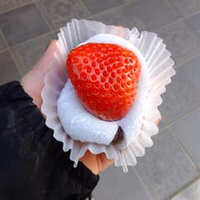 岩田 朋子