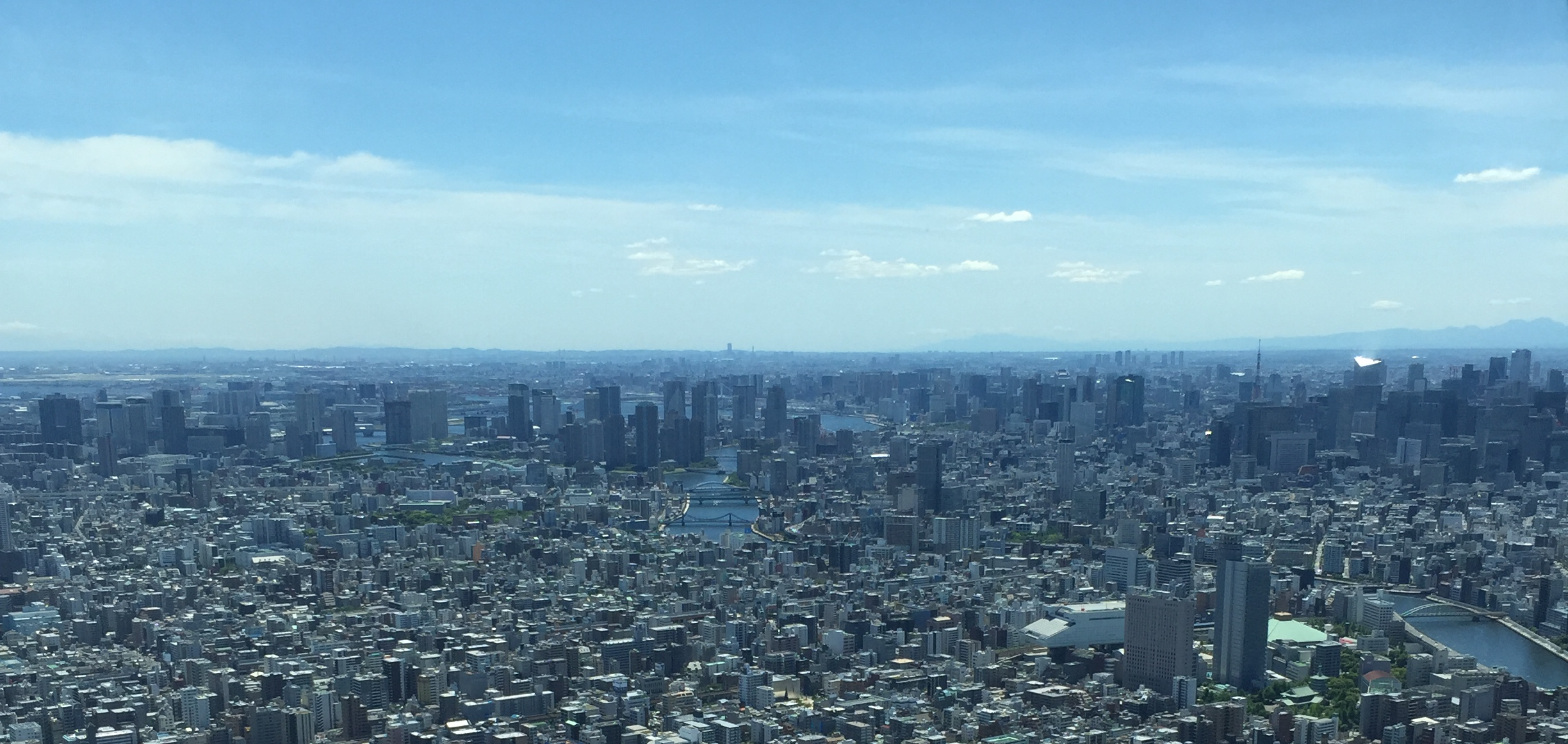 フリーランスから入社を決めた幾つかの理由