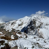 遠山 俊輔