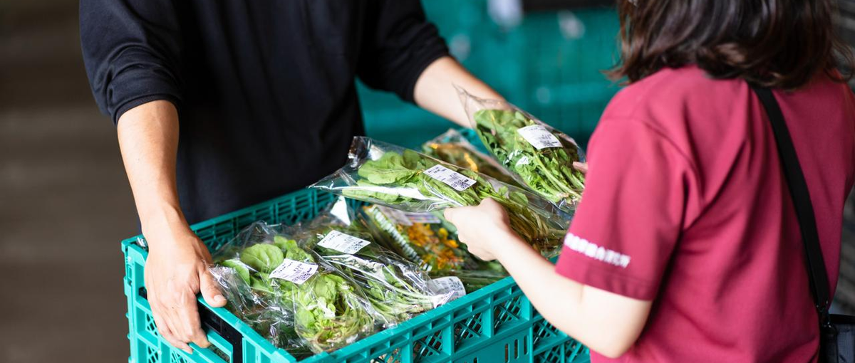 なぜ効率的？その答えは集荷場にあり！市場外流通のハブとなる集荷場運営担当