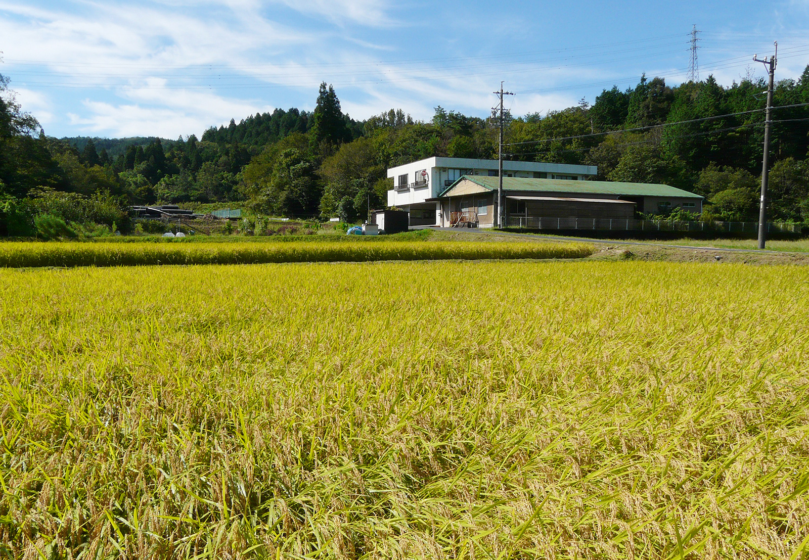 田舎と都会のいいとこ取りできるジーネックスの所在地について
