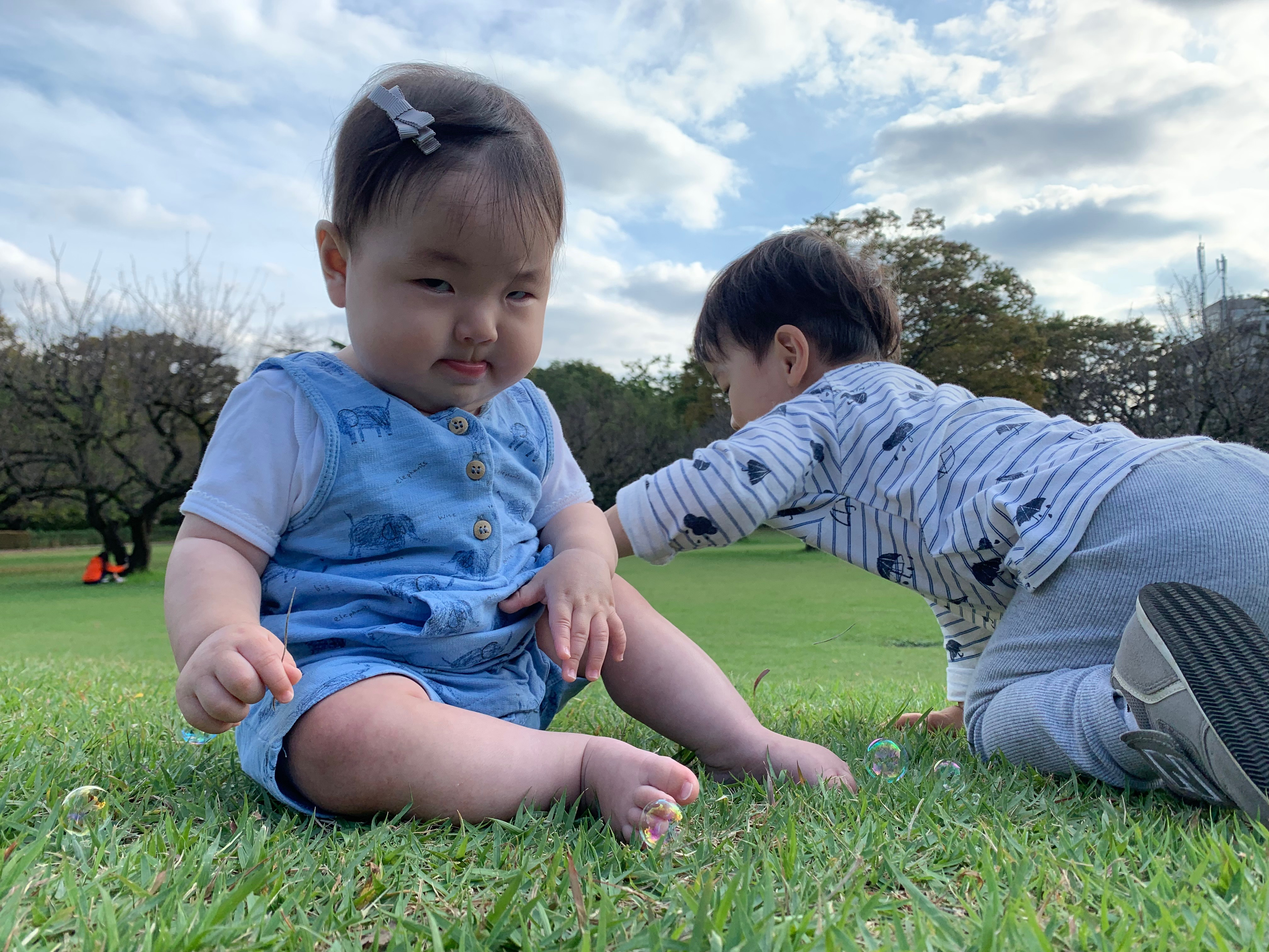 白潟総研の冬季休暇のお知らせ【12/23～1/5】