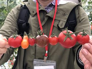 せっかく魂をこめて作った野菜、果物は、もっと人のココロを動かせるはず！最終成果物はどこまで人に届いたか。畑もお店も。そのために人がいるし、そこに働く意味を見出せたなら、可能性は無限大。