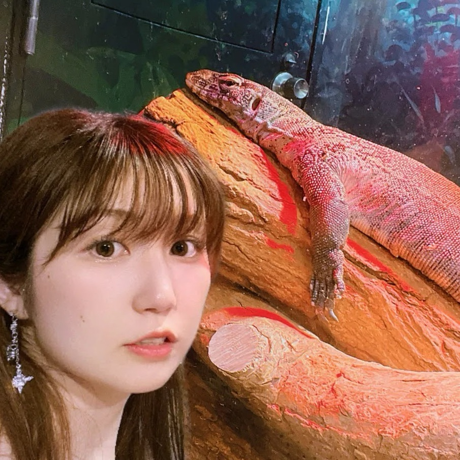 梨木さんのアバター画像