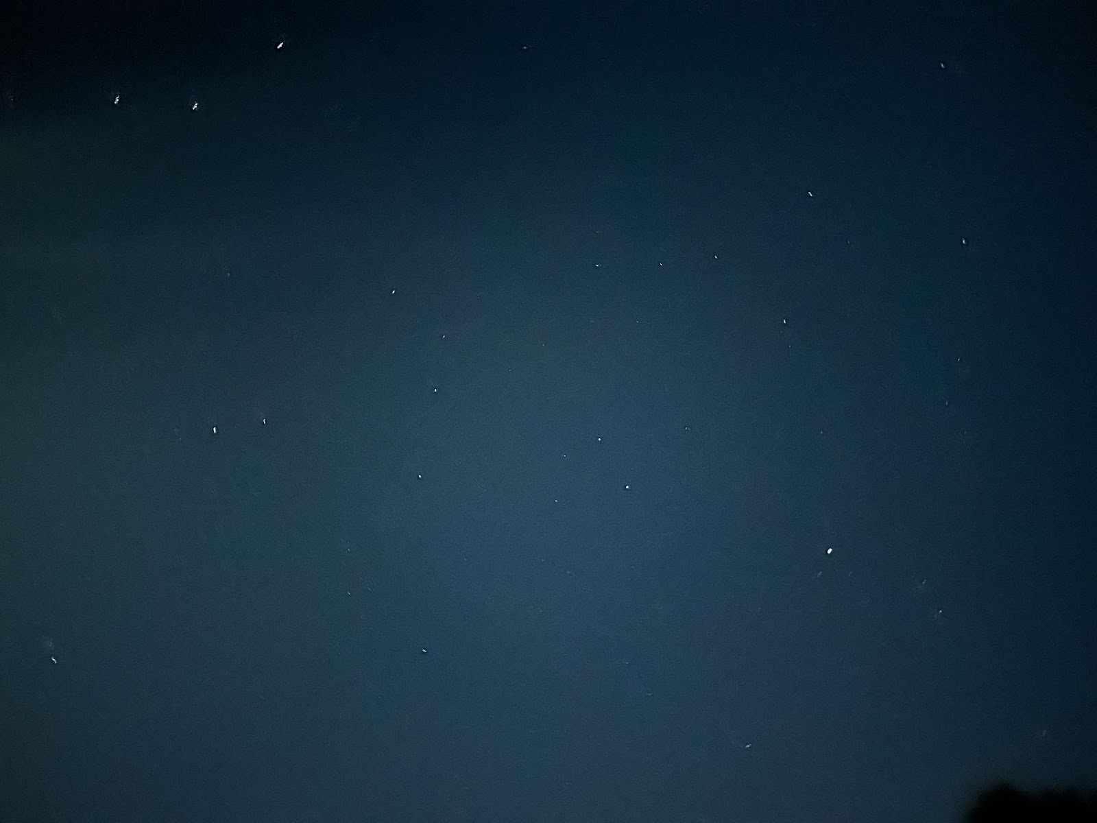 星影に焦げゆくマシュマロ？！