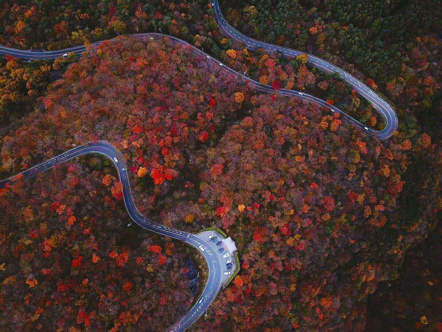 DJI Open Day 最新ドローン体験＆会社説明会