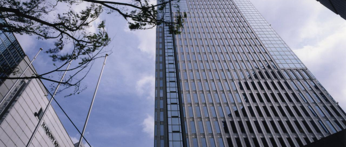 WEBプロデューサー｜WEB戦略を0→1でチャレンジしたい方大募集！