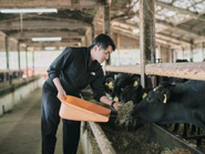 PCを閉じ、作業着を着て、現場と同じ汗をかく。「泥臭い没入」から全てが始まる。