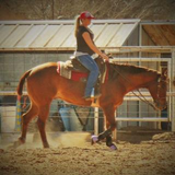 Chelsey Lewis New Mexico