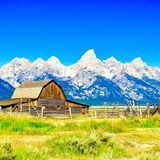 エンジニア PM CI/CD採用