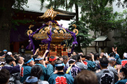 お祭り大好き。毎年、三社祭に参加して町会神輿を担がせていただいています！