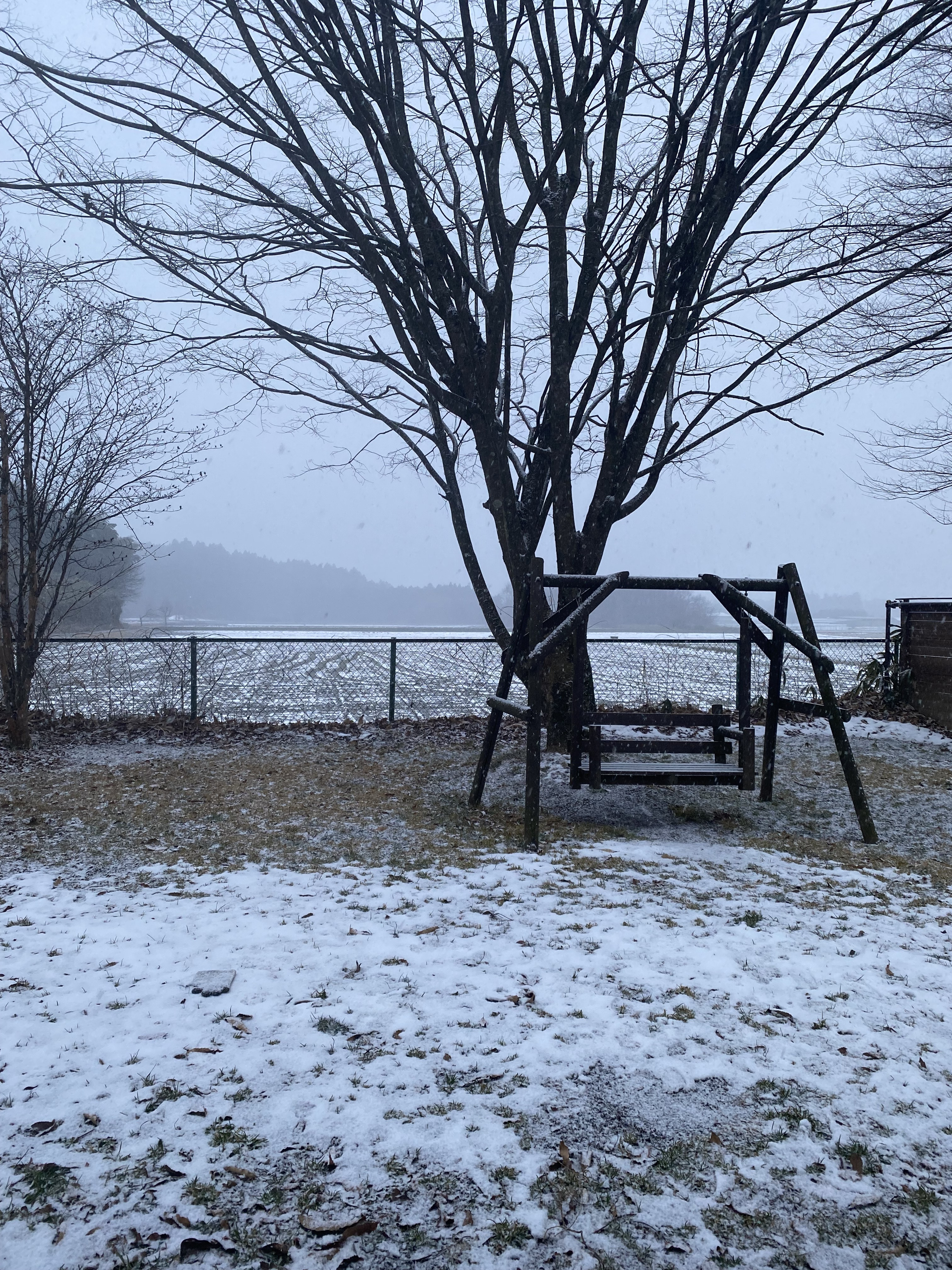 明けましておめでとうございます！