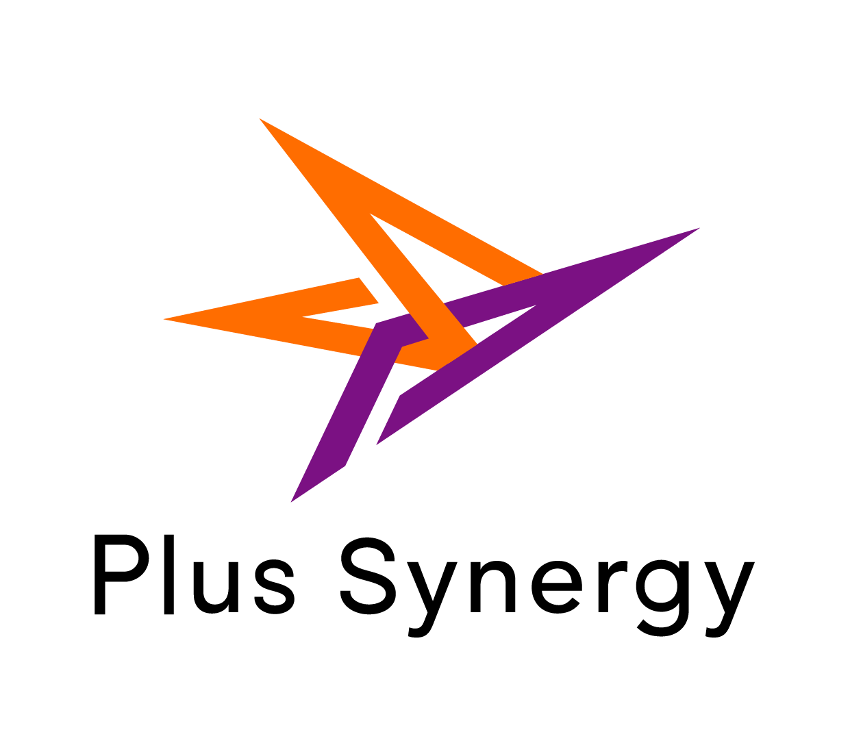 株式会社 Plus Synergy