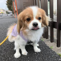 宮下 千穂