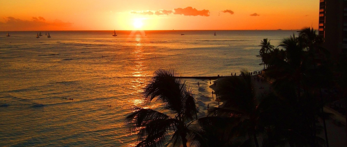 ハワイの体験をプロデュースする。ハワイが好きなあなたを探しています！