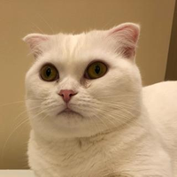 小川 実優さんのプロフィール