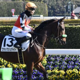 Naoki Shinmura