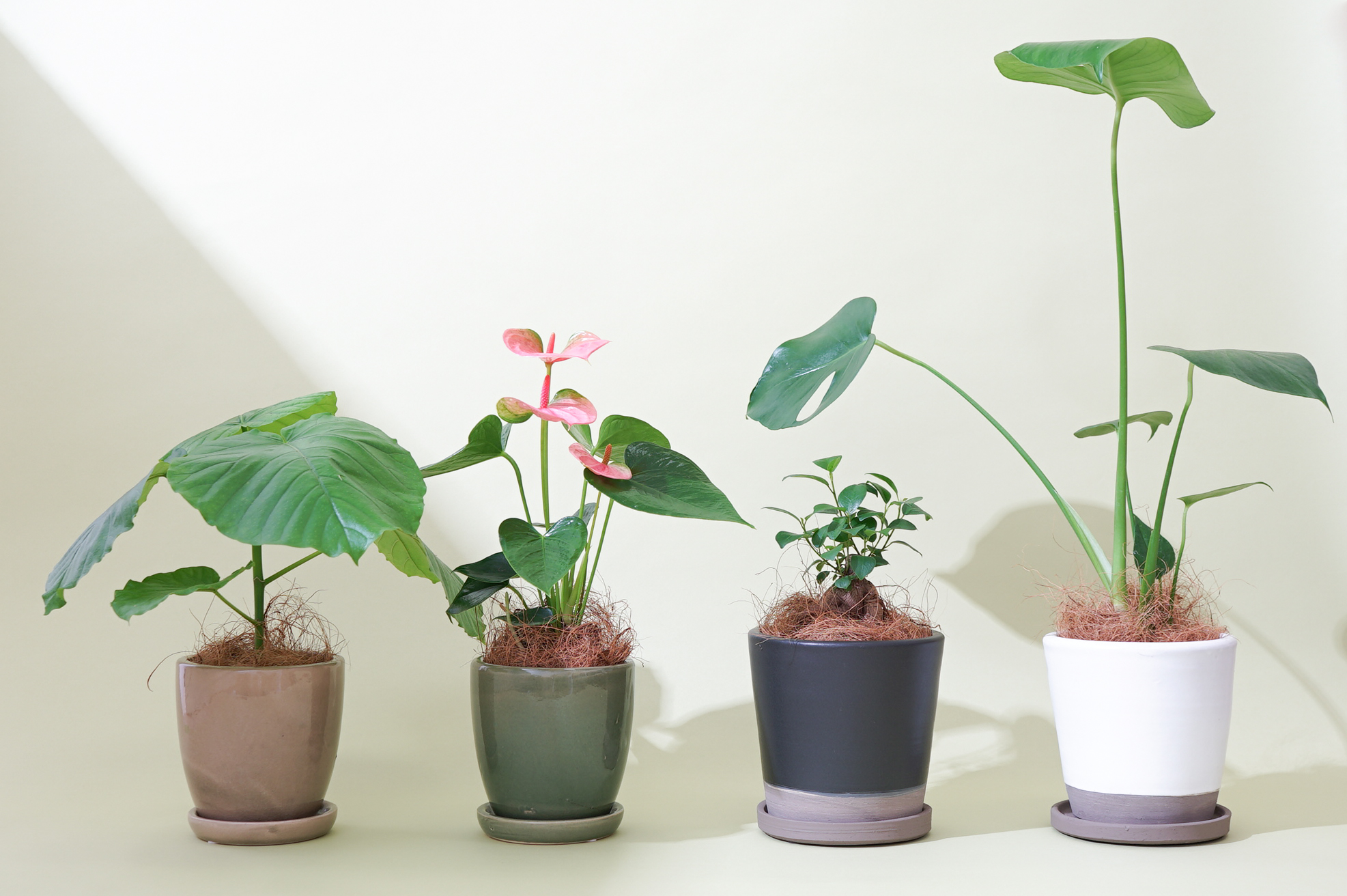 【Beer and Tech Interview ＃12】「このメンバーとなら花き業界を変えていける」花き業界での再チャレンジを彼女が決意した理由とは？